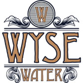 DrinkWyse cognitive performance beverage (US) logo
