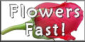 Flowers Fast logo